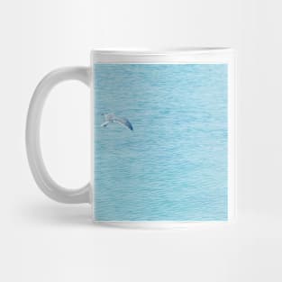 Grey gull flying over at Oman sea Mug